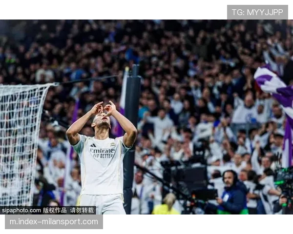 巴列卡诺两度遭遇不利判罚 裁判委员会承认明显失误